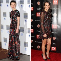 Celebrities in the same costume — 45