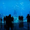 Piękne fotografie Dubaju — 58