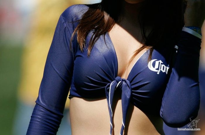 Cheerleaders from Mexico - Pictures nr 17