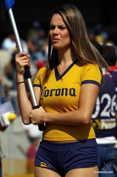 Cheerleaders from Mexico - Pictures nr 53