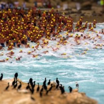 National Geographic Photo Contest 2011 — 10