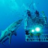 Konkurs Foto National Geographic 2011 — 13