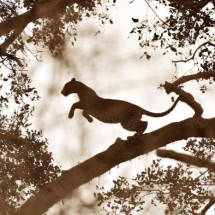 National Geographic Photo Contest 2011 — 17