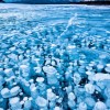 Konkurs Foto National Geographic 2011 — 26