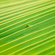 National Geographic Photo Contest 2011 — 29