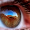 Konkurs Foto National Geographic 2011 — 2