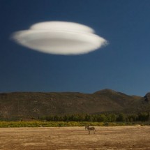 National Geographic Photo Contest 2011 — 38