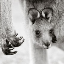 National Geographic Photo Contest 2011 — 43