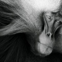 National Geographic Photo Contest 2011 — 8