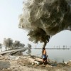 Konkurs Foto National Geographic 2011 — 9