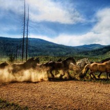 Beautiful HDR pictures — 19