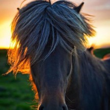 Beautiful HDR pictures — 20