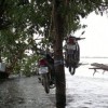 Interesting Thailand Flood Hacks — 25
