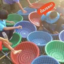 Interesting Thailand Flood Hacks — 27