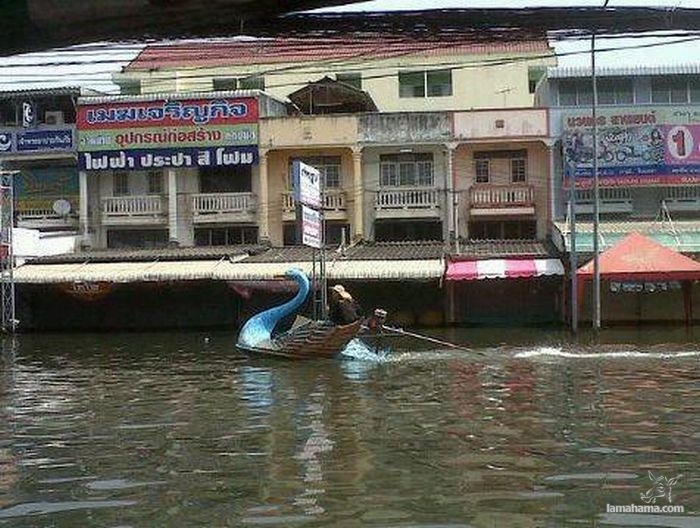 Ciekawe sposoby na powódź w Tajlandii - Zdjecie nr 16