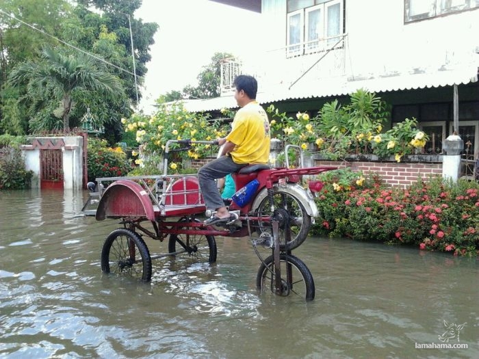 Ciekawe sposoby na powódź w Tajlandii - Zdjecie nr 19