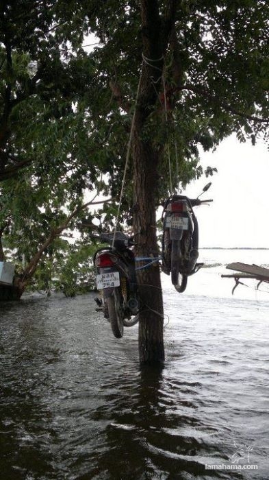 Interesting Thailand Flood Hacks - Pictures nr 25