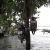 Interesting Thailand Flood Hacks - Pictures nr 25
