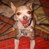 Codzienny Strzał Fotek — 14