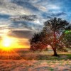 Beautiful HDR pictures - Pictures nr 26