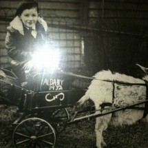 Codzienny Strzał Fotek — 22
