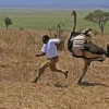 Only in Africa - Pictures nr 14