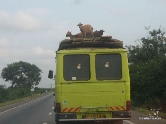 Only in Africa - Pictures nr 37