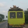 Only in Africa - Pictures nr 37