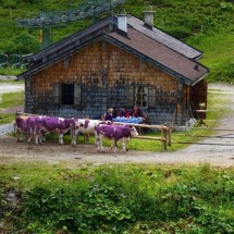 Weekendowy Strzał Fotek — 25