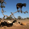 Daily Photo Shoot — 43