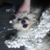Codzienny Strzał Fotek — 36