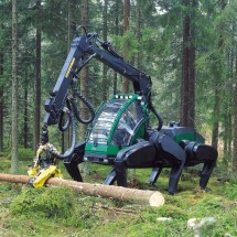 Codzienny Strzał Fotek — 56
