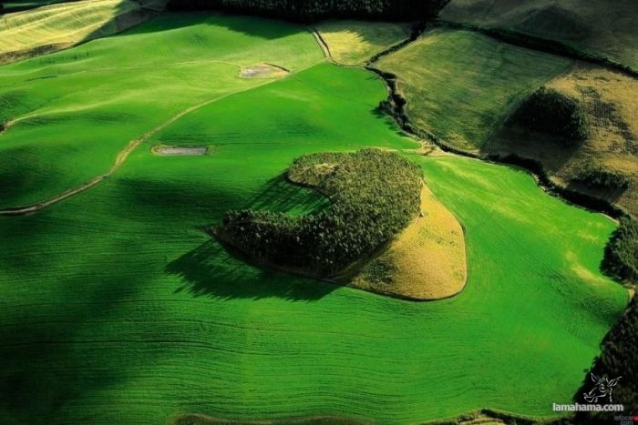 Awesome Examples Of Aerial Photography - Pictures nr 46