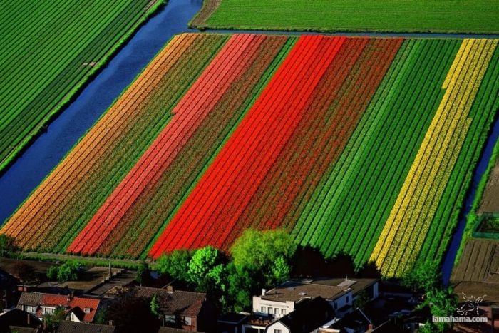 Awesome Examples Of Aerial Photography - Pictures nr 57