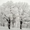 Zima nadchodzi wielkimi krokami — 8