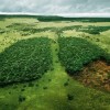 Codzienny Strzał Fotek — 25