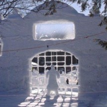 Winter locks and needle from the snow — 10