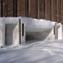 Winter locks and needle from the snow — 11