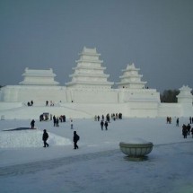 Winter locks and needle from the snow — 12