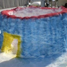 Winter locks and needle from the snow — 17