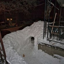 Winter locks and needle from the snow — 22