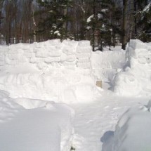 Winter locks and needle from the snow — 25