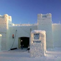 Winter locks and needle from the snow — 26