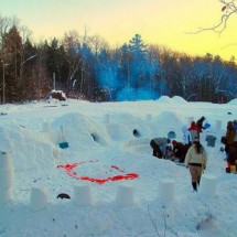 Winter locks and needle from the snow — 31