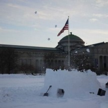 Winter locks and needle from the snow — 40