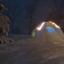 Winter locks and needle from the snow — 43