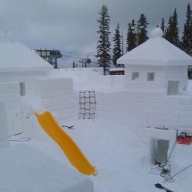 Winter locks and needle from the snow — 4