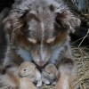 Codzienny Strzał Fotek — 18