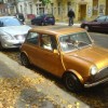 Codzienny Strzał Fotek — 33