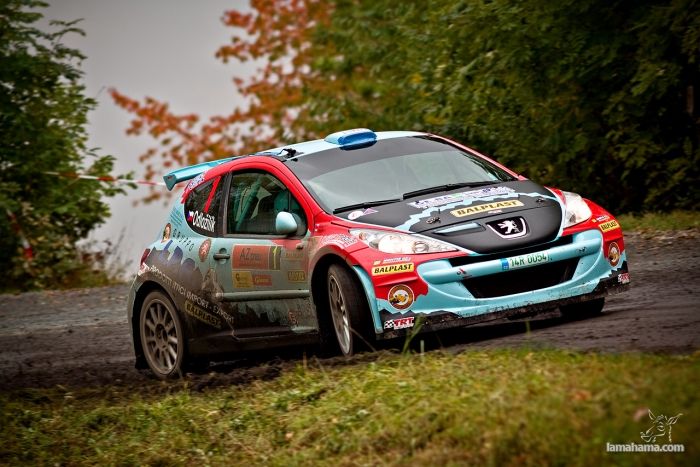 Rally - Pictures nr 21